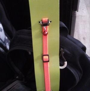 Cat collar